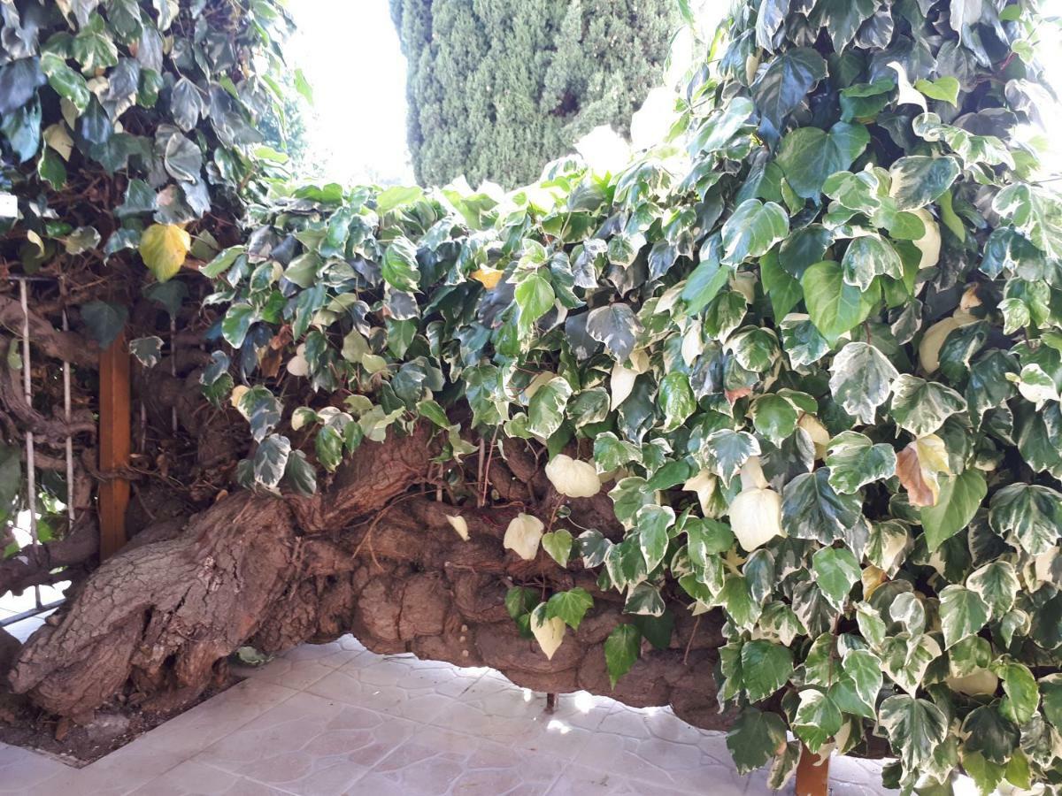 La Mia Resilienza Nei Sassi Di Matera Hotel Exterior foto